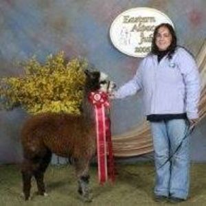 Meet your Posher, Tacha